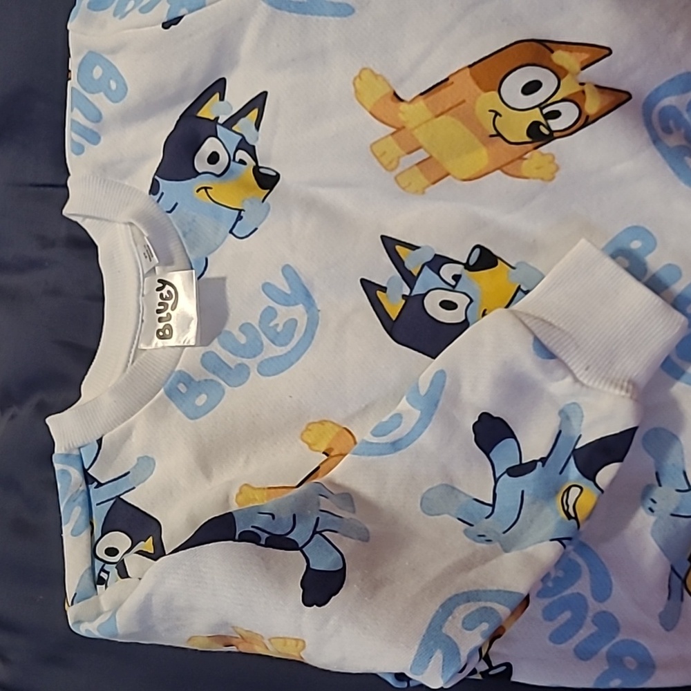 NWOT Bluey sweatshirt